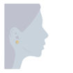 Εικόνα για Γυναικεία Σκουλαρίκια σε Σχήμα Κοχύλι Χρυσό Χρώμα Iconic Collection 60041031