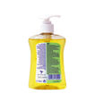 Εικόνα για Αντιβακτηριδιακό Υγρό Κρεμοσάπουνο με Κίτρο Dettol 250 ml