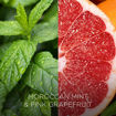 Picture of Αρωματικά Στικ Μέντα Μαρόκου και Pink Grapefruit Botanica by Airwick 80 ml