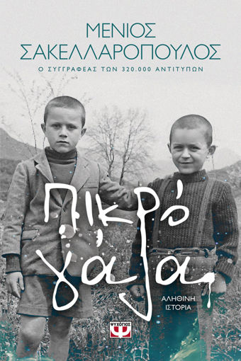 Εικόνα για ΠΙΚΡΟ ΓΑΛΑ