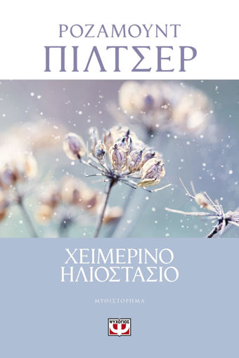 Εικόνα για ΧΕΙΜΕΡΙΝΟ ΗΛΙΟΣΤΑΣΙΟ