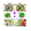Εικόνα για Φωτιστικό Ανάπτυξης και Καλλιέργειας Φυτών Εσωτερικού Χώρου με 3 Ευλύγιστους Βραχίονες