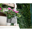 Εικόνα για Ζαρντινιέρα Camellia Φούξια 33x29x25.5cm 6.5L Serinova - 8680648609709