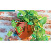 Εικόνα για Γλάστρα Τοίχου Waterdrop Terracotta 29.5x17.5cm 2.4L Serinova - 8698644481624