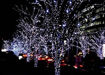 Εικόνα για Ηλιακά Χριστουγεννιάτικα 200 Λαμπάκια Λευκό Ψυχρό LED Εξωτερικού Χώρου