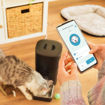 Εικόνα για Cecotec Pumba 6000 Purfect Meal Smart – Αυτόματη Ταΐστρα Κατοικίδιων με Wi-Fi 6 Lt - 09565