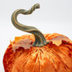 Εικόνα για Βελούδινη Κολοκύθα Halloween  Πορτοκαλί με Φύλλα Σφενδάμου 24x26cm - Διακοσμητικό 600-47881