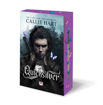Εικόνα για Quicksilver - Callie Hart