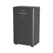 Εικόνα για Αφυγραντήρας Primo PRDH-45025i 20L R290 με Ιονιστή, Φίλτρο Ενεργού Άνθρακα & Χρωματική Ένδειξη Υγρασίας, Ανθρακί